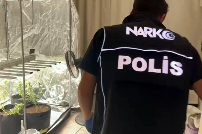 Yatak odasına kurduğu serada kenevir yetiştiren şüpheli: Evi tanımadığım biri kullanıyor