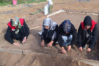 Erzincan’da yeni ürün için ilk yumrular toprakla buluştu…
