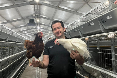 Yumurtacı damızlık civciv üretiminde yapay zeka dönemi