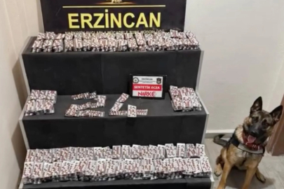 Erzincan'da 6 bin 335 sentetik hap ele geçirildi