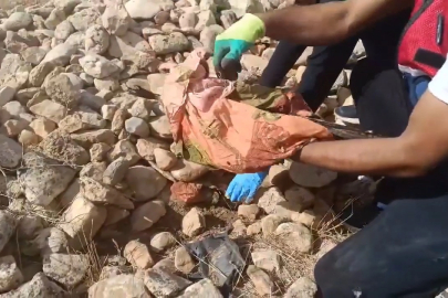 Tarlada taş ve tezek yığını arasına gizlenen silah ve uyuşturucu ele geçirildi: 12 gözaltı