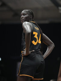 Flammes Carolo Basket - Galatasaray Çağdaş Faktoring: 56-62