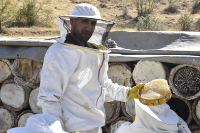 Bitlis’te kara kovan balının hasadı başladı