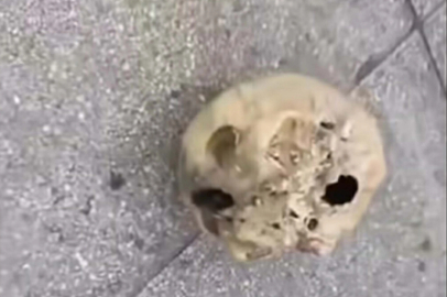 Oltasına kafatası takıldı