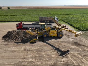 Kayseri’de şeker pancarı hasadı başladı