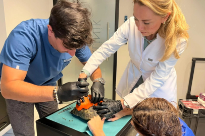 Kabuğu kırılan kaplumbağaya protez takıldı