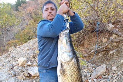 Malatya'da amatör balıkçının oltasına 32 kiloluk turna balığı takıldı