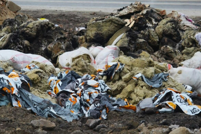 Söke'nin sulak alanları moloz, hafriyat ve çöp tehdidi altında