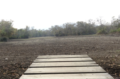 Türkiye’nin 3’üncü büyük longozu da kurudu