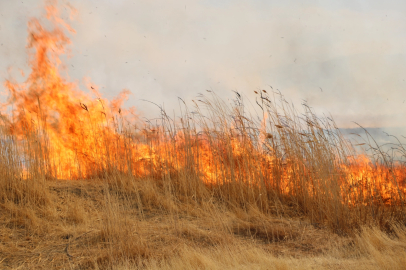 Yüksekova'da Nehil Sazlığı'nda yangın