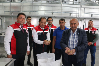 Ülkenin en kaliteli cevizleri yetiştiriliyor