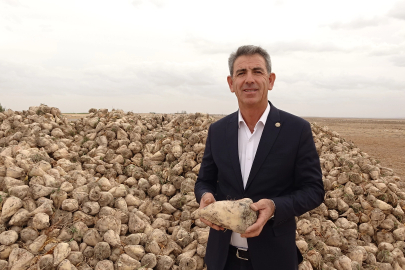 Şeker pancarında rekolte ve fiyat yüz güldürdü