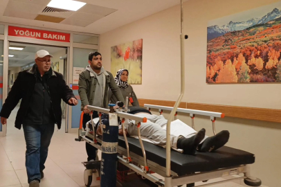 Ormandan toplayıp yediği mantardan zehirlendi