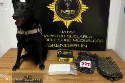 İskenderun'da 1 kilo 100 gram kokain ele geçirildi: 2 tutuklu