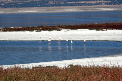 Bilim Merkezi Uyardı: Türkiye Göller Küçülme Trendinde!