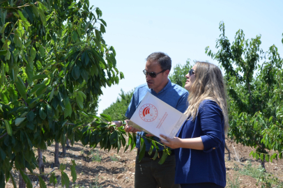 Zirai don olaylarından etkilenen 606 çiftçiye 55 milyon TL destek