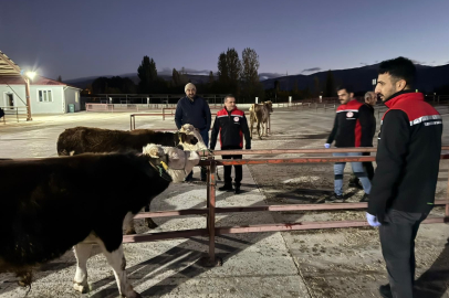 Erzincan Hayvan Pazarı Açıldı: Girişlerde Sıkı Kontrol!