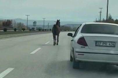 Başıboş at, trafiği tehlikeye düşürdü