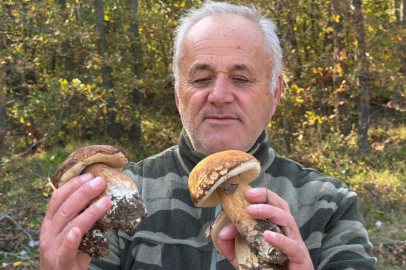 Mantar popülasyonu azaldı, kilosu 500 TL’ye çıktı