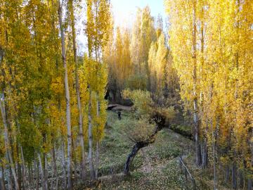 Bitlis'te sonbahar güzelliği