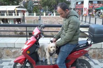 Köpeğini motosikletiyle gezdiriyor