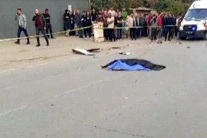 Otomobilin çarptığı Güney, hayatını kaybetti