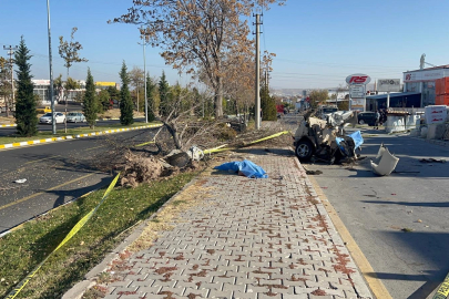 Ağaca çarpan otomobil ikiye bölündü: 2 ölü, 1 yaralı