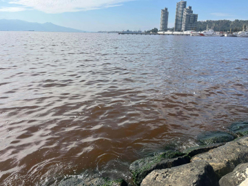 İzmir Körfezi'nde kötü koku sürüyor; denizin rengi kahverengiye döndü