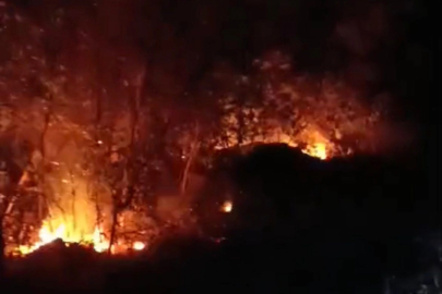 Hatay’da iki ayrı noktada yıldırım kaynaklı orman yangını kontrol altına alındı