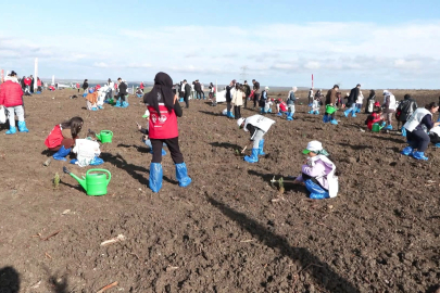 Milli Ağaçlandırma Günü'nde Silivri'de 15 bin fidan dikildi