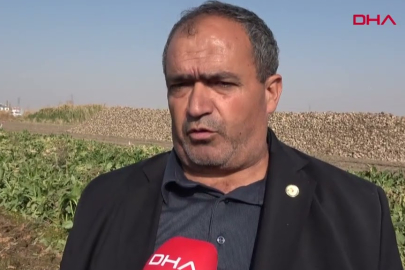 Pancar üreticisi fiyattan memnun