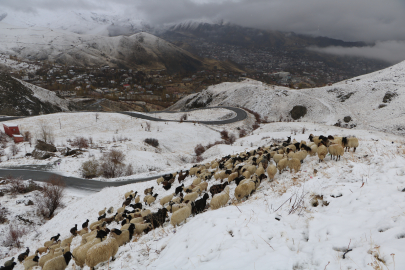 Hakkari'de kar yağışı