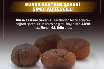 Bursa Kestane Şekeri ile İpsala Pirinci'ne AB'den coğrafi işaret tescili