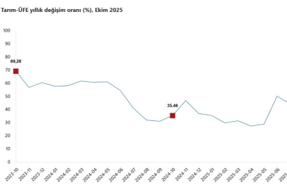 TÜİK: Tarım ürünleri üretici fiyatları ekimde arttı