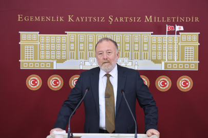 DEM Parti'li Temelli: Komisyon umarım İmralı'ya gider
