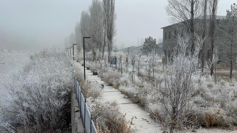 Ardahan’da sis ve kırağı etkili oldu