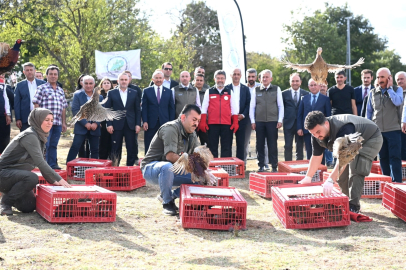 Kene ve kokarcaya karşı 36 bin keklik, 9 bin sülün doğaya salındı