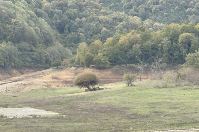 Yalova'nın 20 günlük suyu kaldı; kenti besleyen baraj dronla görüntülendi