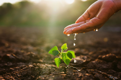 Toprak Yoksa Su, Su Yoksa Gıda Yok!
