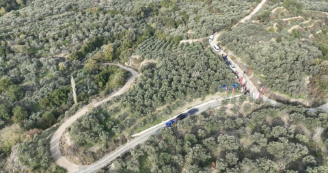 Hatay’da zeytin hasadına başlandı; 201 bin ton rekolte bekleniyor