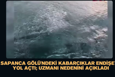 Sapanca Gölü'ndeki kabarcıklar endişeye yol açtı; uzmanı nedenini açıkladı