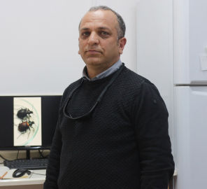 Oteldeki zehirlenme sonrası 'alüminyum fosfit' uyarısı: Ambar hapı olarak biliniyor, bakkalda bile satılıyor