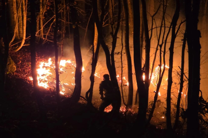 Ordu’da örtü yangını, ormana sıçradı
