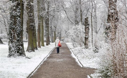 Almanya'da kar yağışı trafik kazalarına neden oldu: 3 ölü