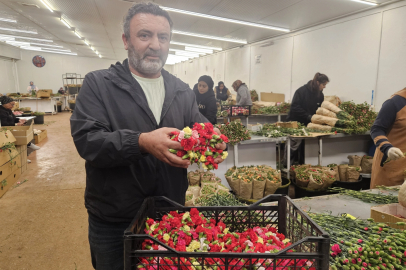 Sirtakide tabak kırmanın yerini alan Türk karanfilinden 3 milyon dolarlık gelir