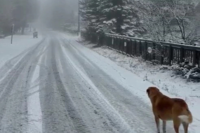 Uludağ’da kar kalınlığı 5 santimetreye ulaştı