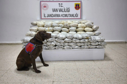 Başkale’de Araziye Gizlenen 60 Kilo Skunk Ele Geçirildi