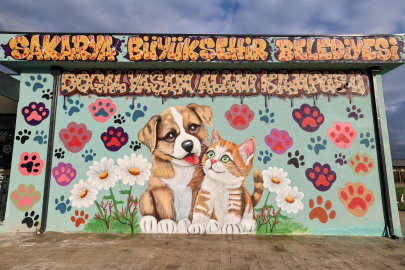 Sakarya’da Sokak Hayvanları İçin Dev Yaşam Kampüsü Açıldı