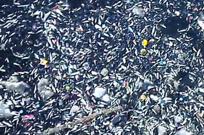 Seyhan Barajı’nda Su Azaldı, Nehirde Balık Ölümleri Başladı