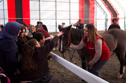 Atlar iyileştiriyor: Omurilik Felçlileri Derneği'nden anlamlı buluşma